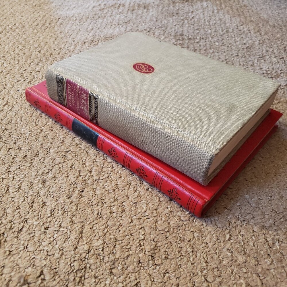 Vintage literature themed book set - Picture 2 of 13